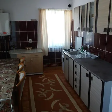 Casa In Bucovina Gura Humorului