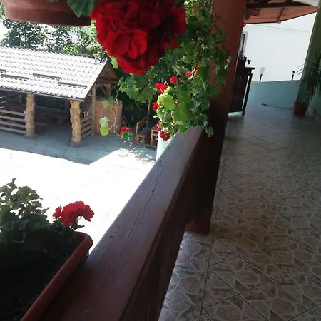 Casa In Bucovina Gura Humorului