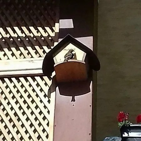 Apartment Casa In Bucovina