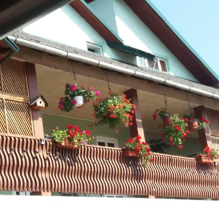 Casa In Bucovina Apartment Gura Humorului